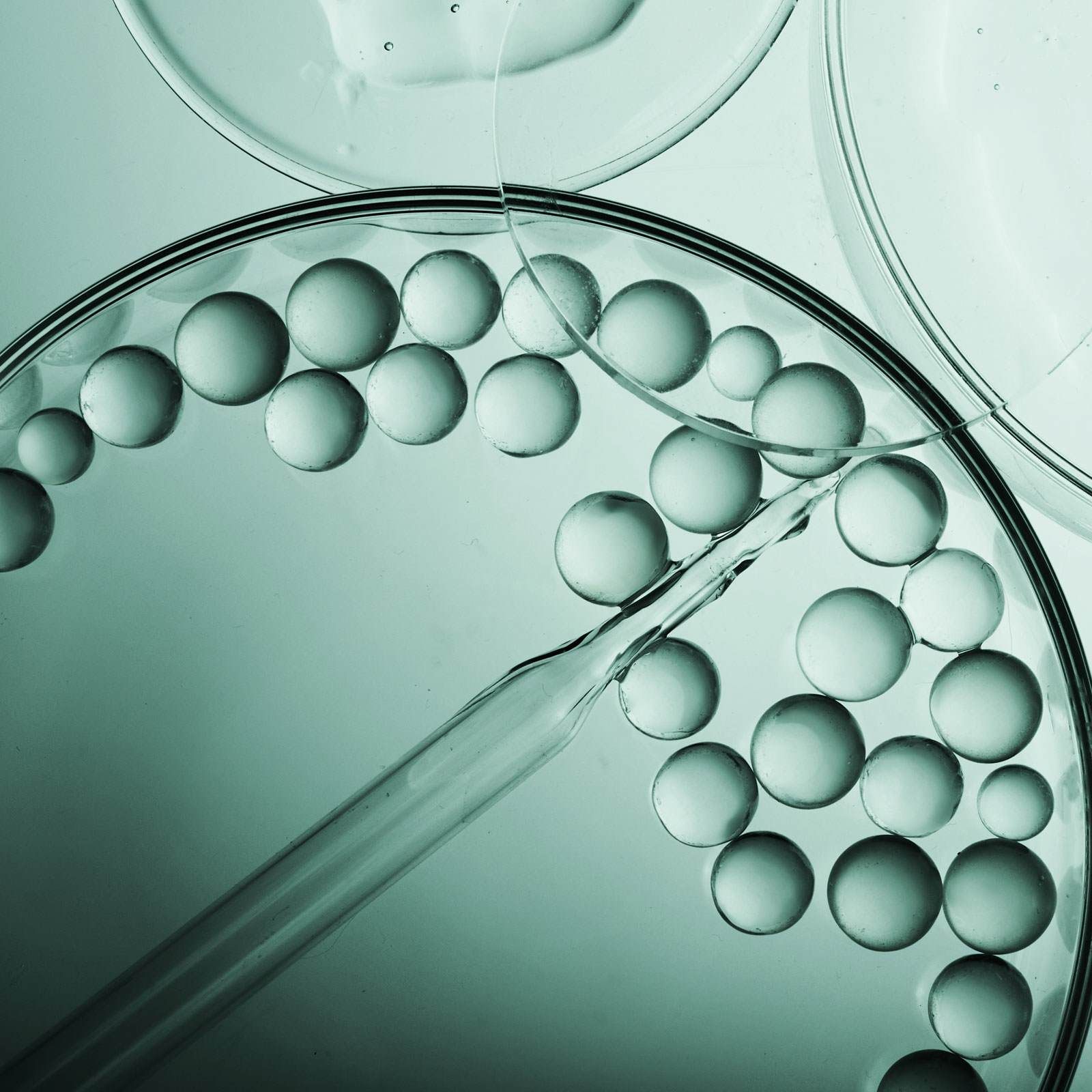 Encapsulated